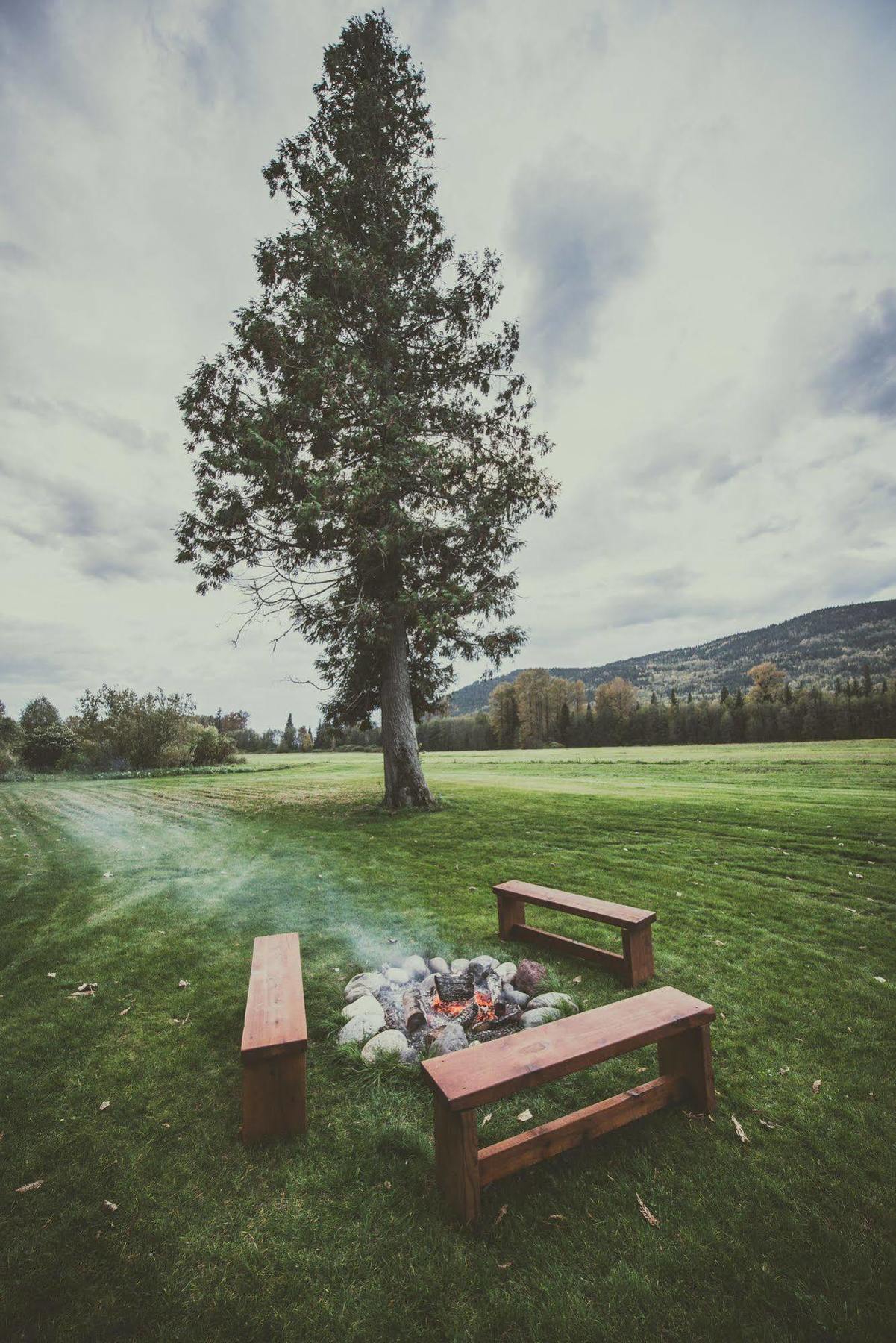 Hidden Acres Farm And Treehouse Resort Terrace Exteriér fotografie