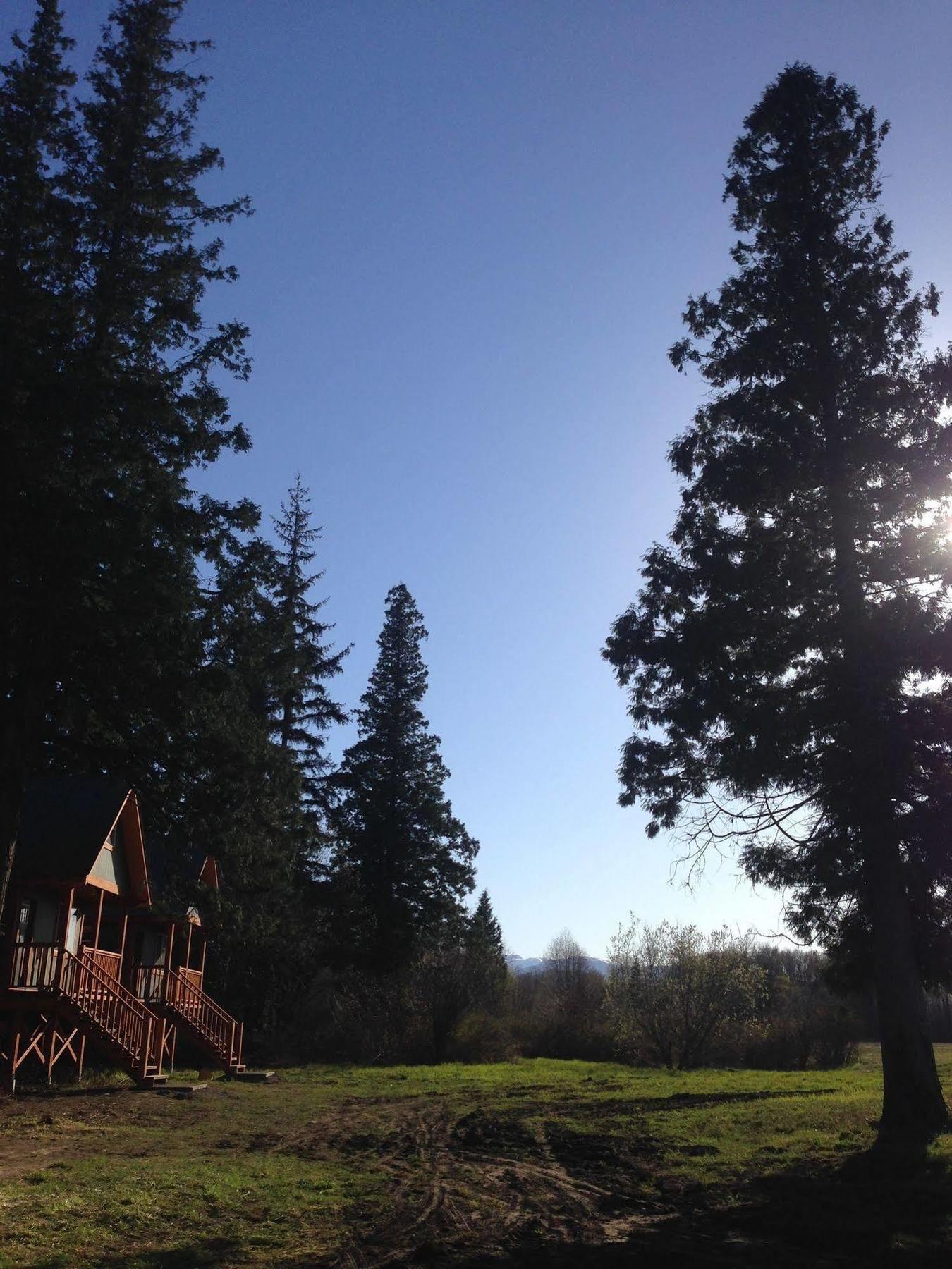 Hidden Acres Farm And Treehouse Resort Terrace Exteriér fotografie